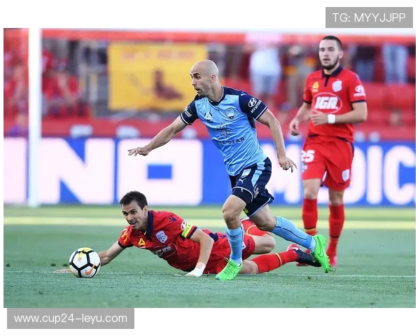 悉尼FC vs 阿德莱德联：攻防对决，谁能更胜一筹？墨尔本德比前瞻